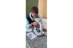 Laboratory Session